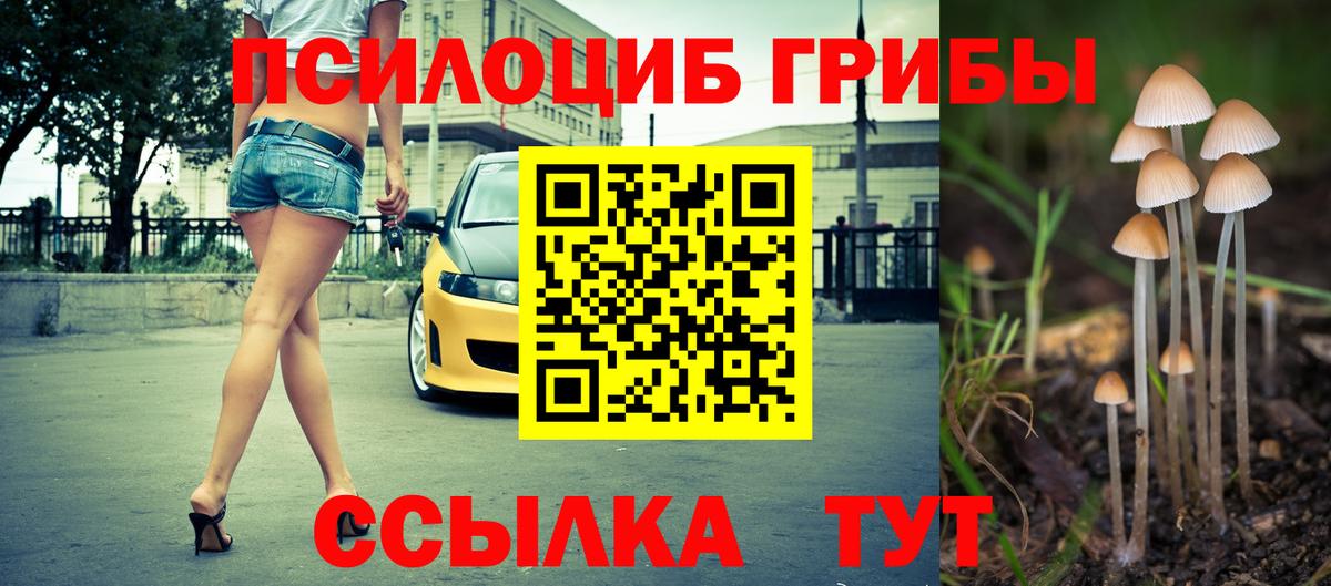 Галлюциногенные грибы GOLDEN TEACHER Кострома