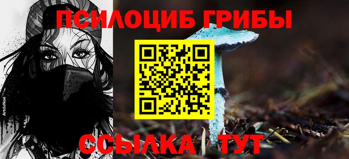 Псилоцибиновые грибы мухоморы  Вход с VPN  Кострома 